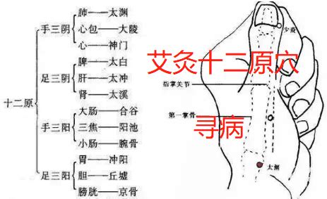 源穴|原穴:原穴圖示,原穴概述,原穴定義,關於源流,原穴與病理,動力,穴位…